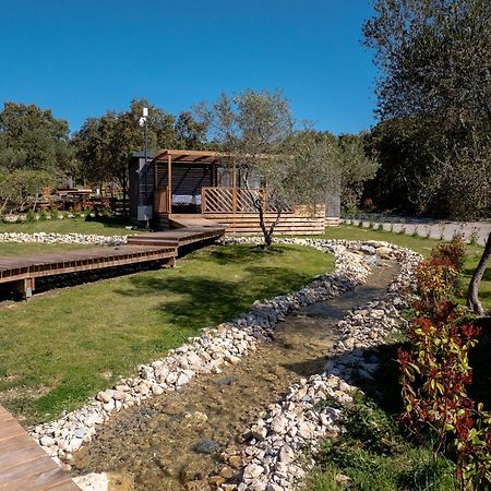 Camping Les Pres Du Roi Sommieres Ngoại thất bức ảnh