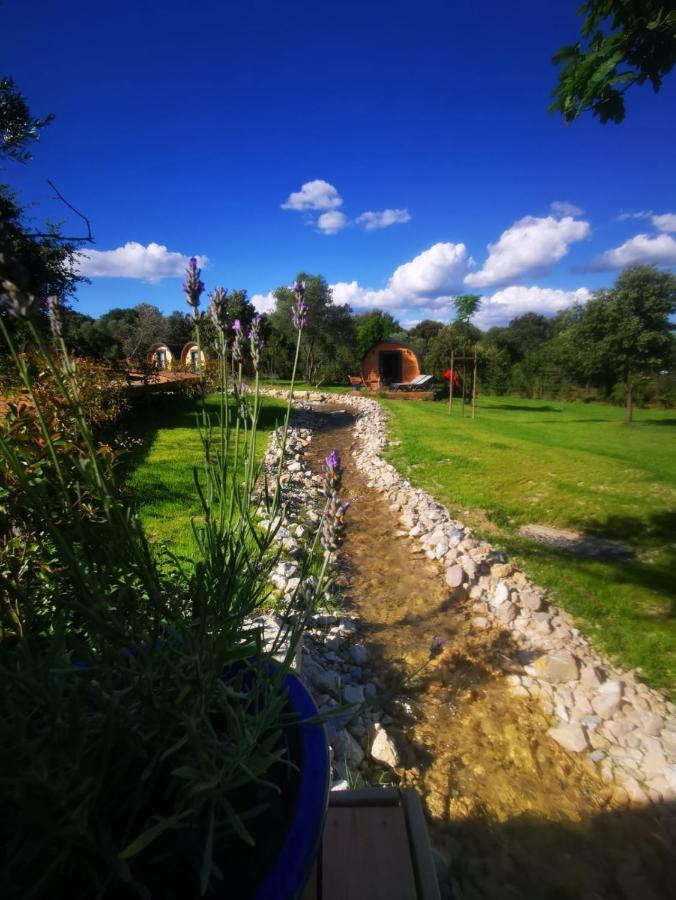 Camping Les Pres Du Roi Sommieres Ngoại thất bức ảnh